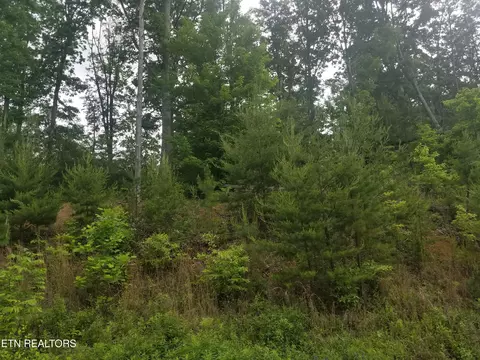 lot33 Bayside Blvd, Bean Station, TN 37708