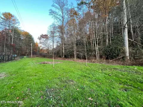 948 Hedge Maple Ln, Del Rio, TN 37727