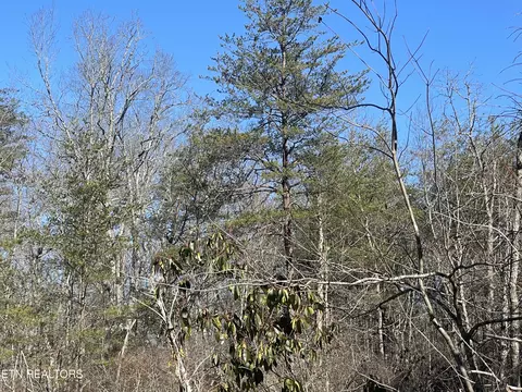lot396 Cleggan Dr, Crossville, TN 38572