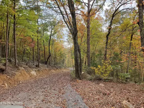 Poor Valley, Rutledge, TN 37861 photo 2
