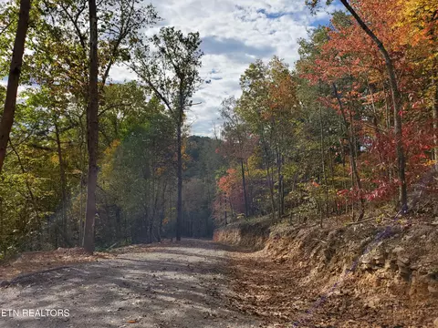 Poor Valley, Rutledge, TN 37861 photo 3
