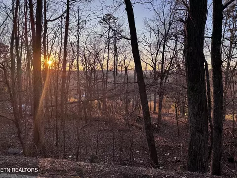 9445 Harrison Bay Rd, Harrison, TN 37341 photo 1