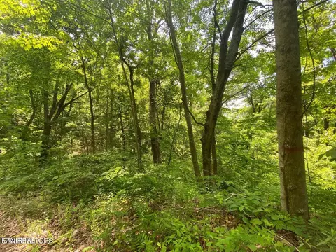 lot61 High St, Sevierville, TN 37876