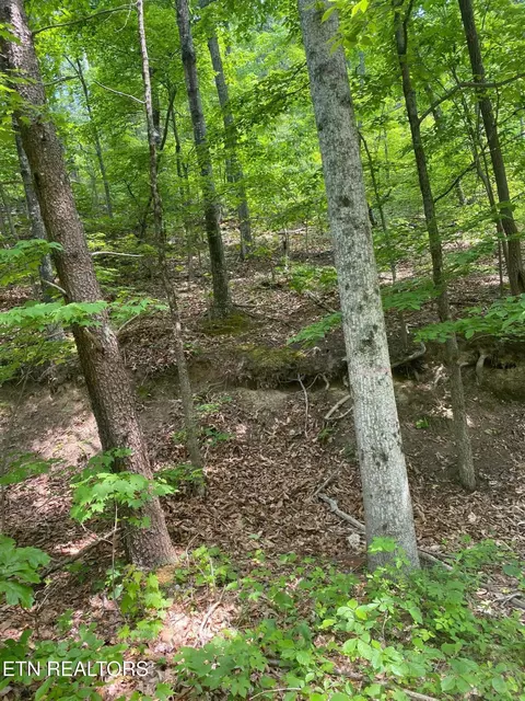 lot31 High St, Sevierville, TN 37876