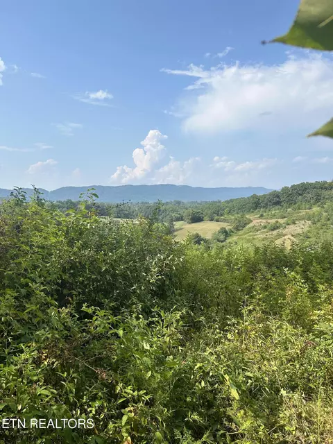 1814 Long Hollow Rd, La Follette, TN 37766