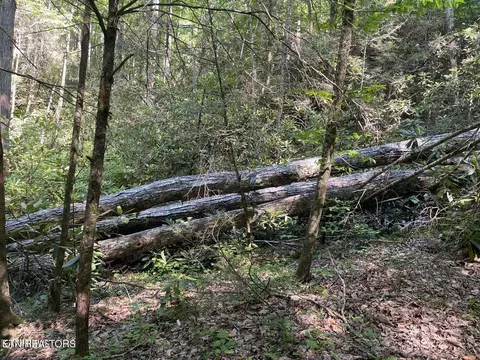 lot6 Sycamore St, Sevierville, TN 37876