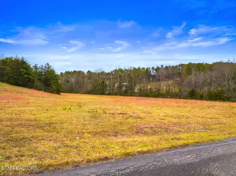 lot1 Lonesome Point Rd, Bybee, TN 37713