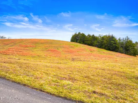 lot2 Lonesome Pine Rd, Bybee, TN 37713