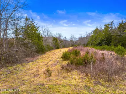 lot8 Lonesome Pine Rd, Bybee, TN 37713