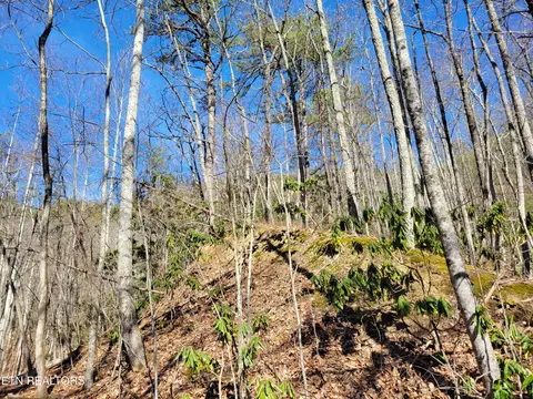 John Sevier Drive, Sevierville, TN 37876