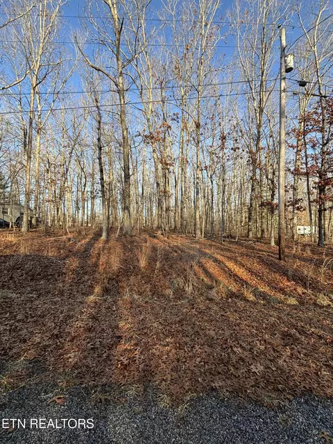 4030 Saponac Dr, Crossville, TN 38572