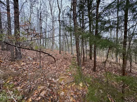 lot44 Zuni Way, Del Rio, TN 37727