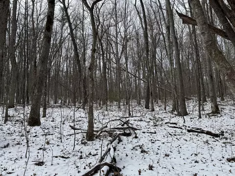 Street Place Loop, Monterey, TN 38574
