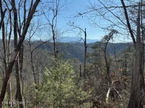 0 Emerald Way, Sevierville, TN 37876