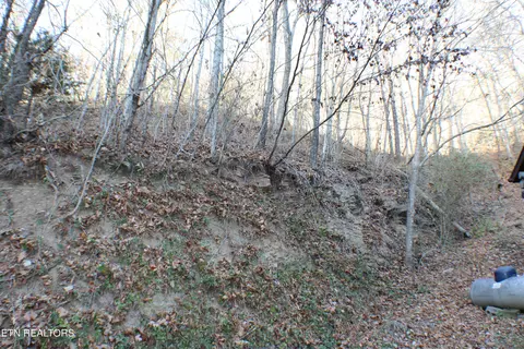 Exterior - 640 Nettleton Rd, Harrogate, TN 37752 photo 5 of 5