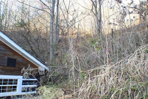 Exterior - 640 Nettleton Rd, Harrogate, TN 37752 photo 4 of 5
