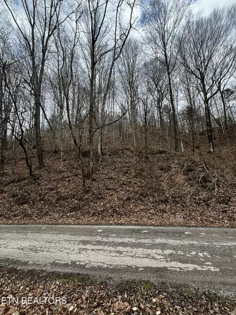 0 Paint Rock Crk, Oneida, TN 37841