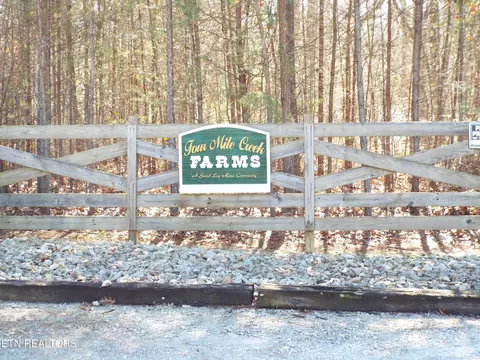 Tract 10 George Drive, Deer Lodge, TN 37726