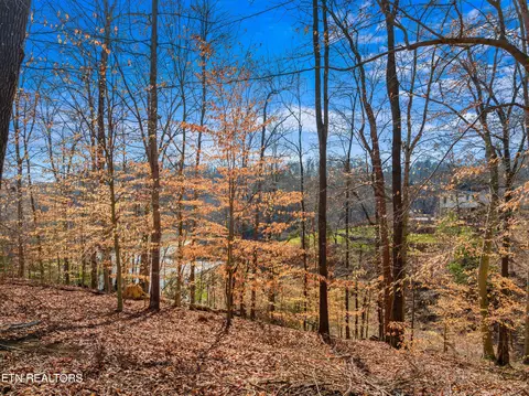 lot2 Persimmon Orchard Dr, Dandridge, TN 37725
