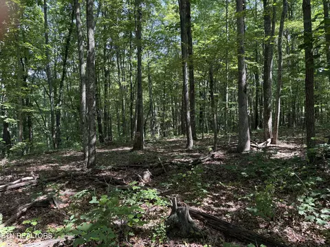 Little Place, Monterey, TN 38574