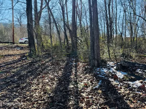 0 Pilgrim Cir, Cosby, TN 37722