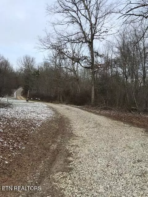 101 00101 Sheep Ranch Rd, Robbins, TN 37852