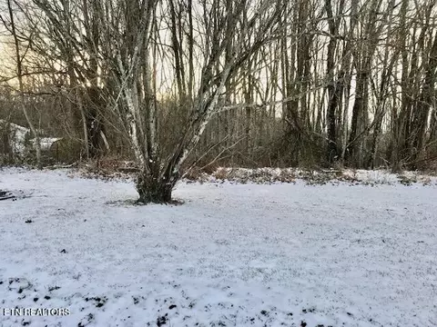 069 14500 Letner Rd, Helenwood, TN 37755