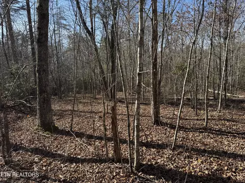 lot6 Cumberland Cove Rd, Monterey, TN 38574