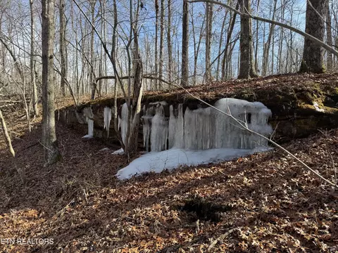 lot37 Crystal Pt, Monterey, TN 38574