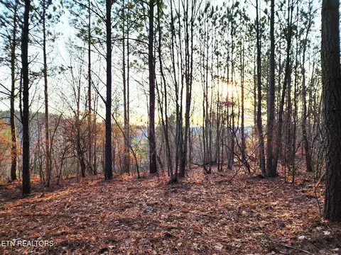 T27 West Robbins Rd, Robbins, TN 37852