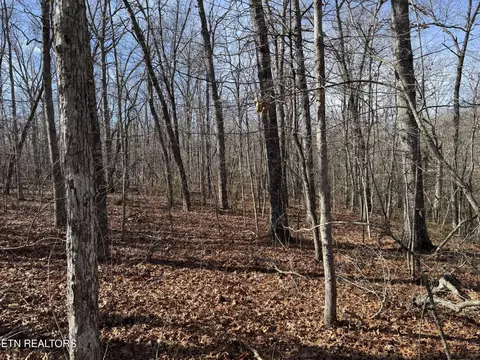 lot38 Crystal Pt, Monterey, TN 38574