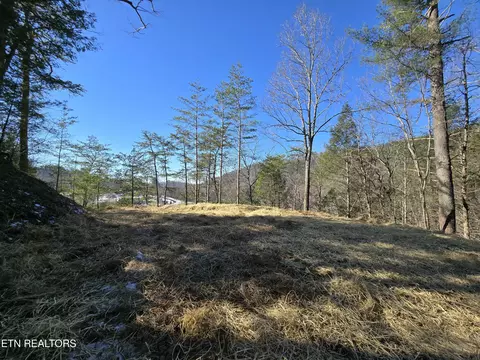 1184 Shell Mountain Rd, Sevierville, TN 37876