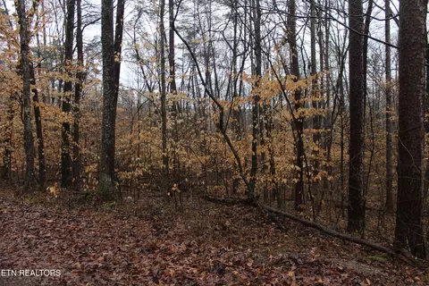 Songbird Lane, Maynardville, TN 37807
