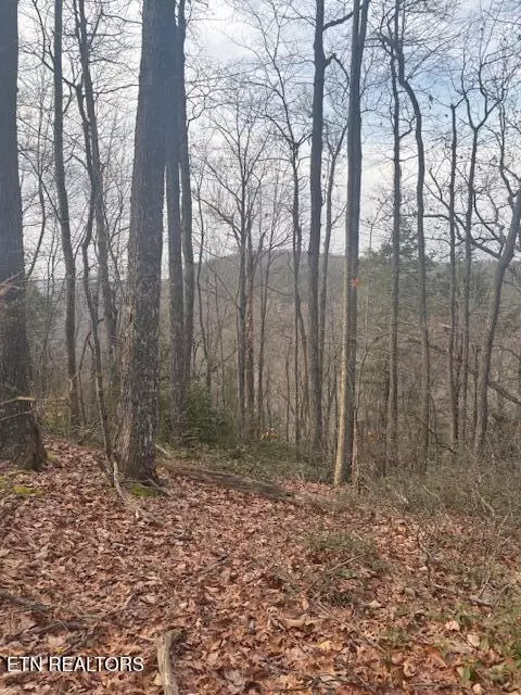 Davidson Drive, Monterey, TN 38574