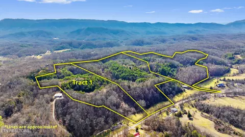 Tract 1 Wye Drive, Seymour, TN 37865
