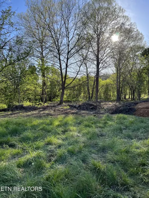 0 Clinch Vly, Eidson, TN 37731 photo 9