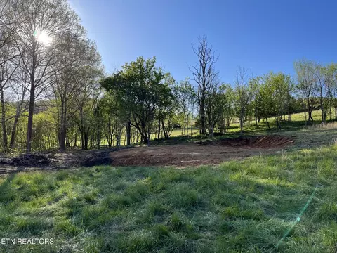 0 Clinch Vly, Eidson, TN 37731 photo 8