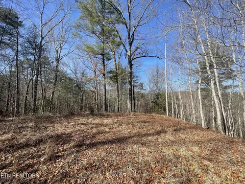 197 Terrapin Dr, Turtletown, TN 37391