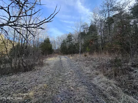 Ely Hollow Rd, Ewing, VA 24248 photo 22
