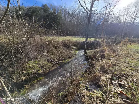 Ely Hollow Rd, Ewing, VA 24248 photo 17