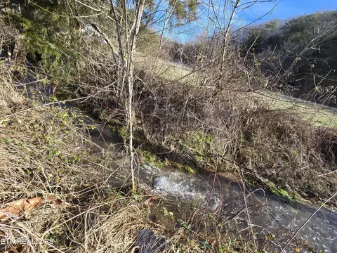 Ely Hollow Rd, Ewing, VA 24248 photo 23