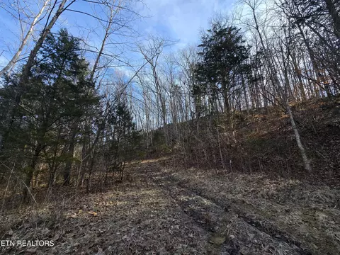 Ely Hollow Rd, Ewing, VA 24248 photo 18
