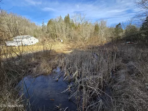 Ely Hollow Rd, Ewing, VA 24248 photo 24