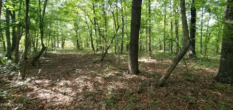 Divide Tr, Monterey, TN 38574
