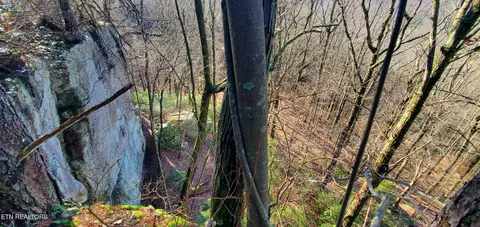 Tanner Drive, Monterey, TN 38574