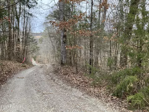 Lone Mountain Rd, New Tazewell, TN 37825