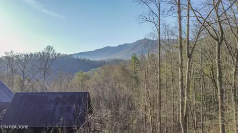 Cooper Hollow Rd, Townsend, TN 37882