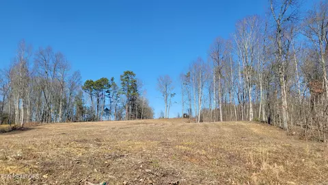 Tom Patterson Tr, Dandridge, TN 37725
