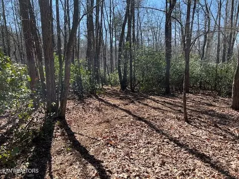 cliff park rd, Monterey, TN 38574