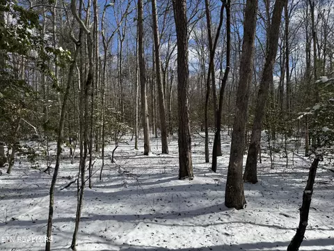 lot2 Falls Rd, Monterey, TN 38574
